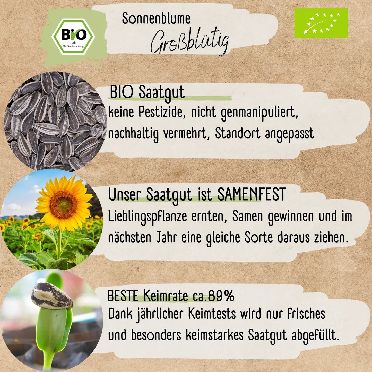 Bio Riesen Sonnenblumen Samen