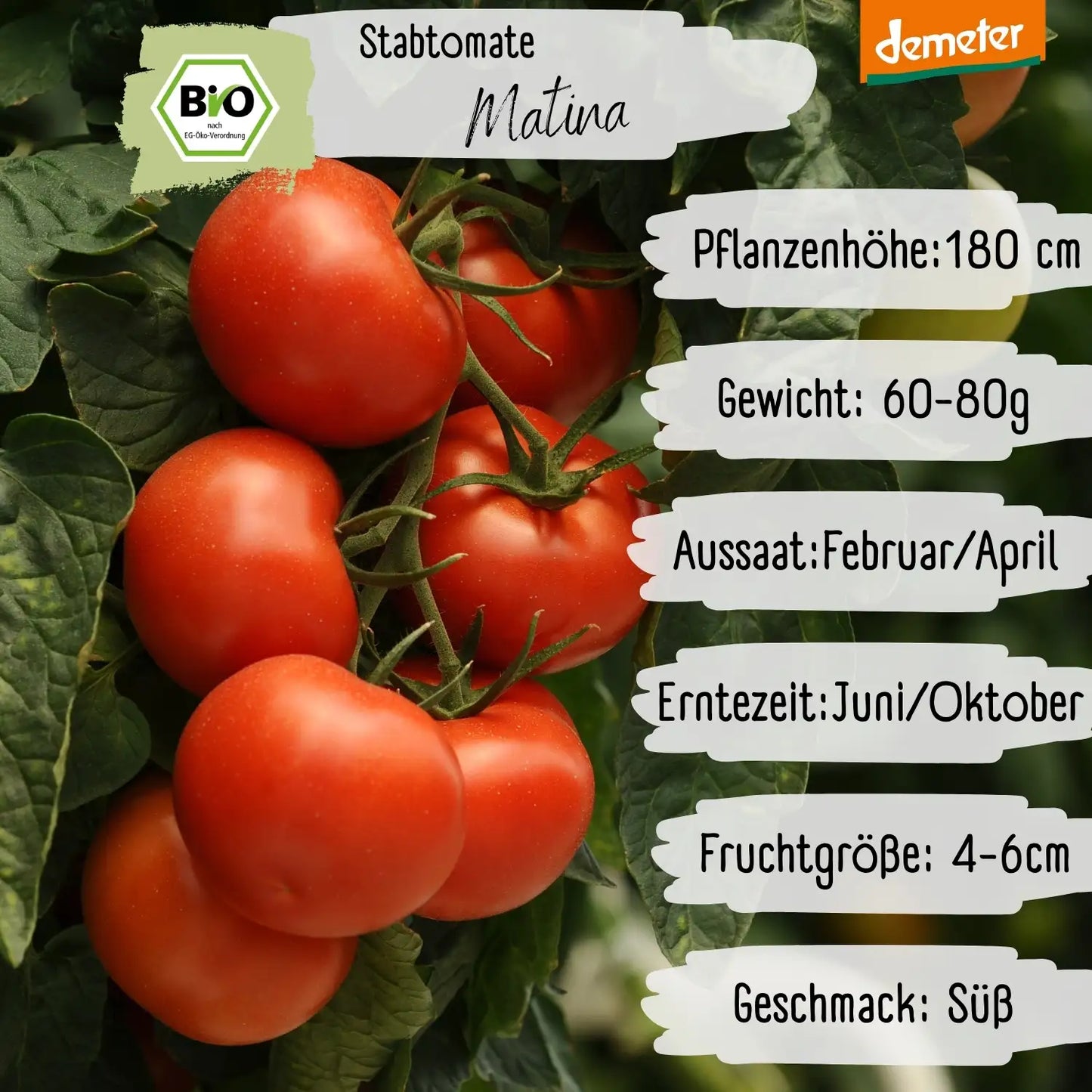 Demeter Matina Tomaten Samen