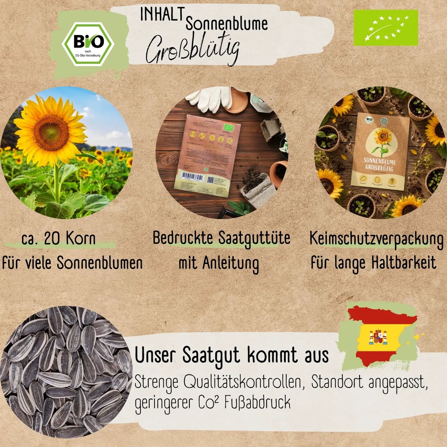 Bio Riesen Sonnenblumen Samen