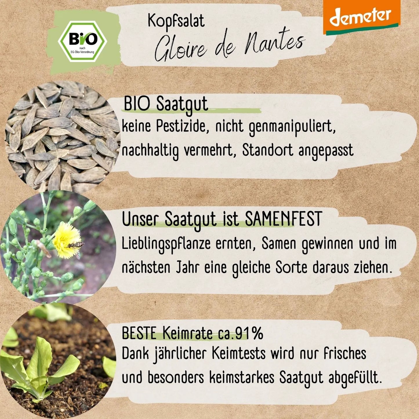 Demeter Gloire de Nantes Kopfsalat Samen