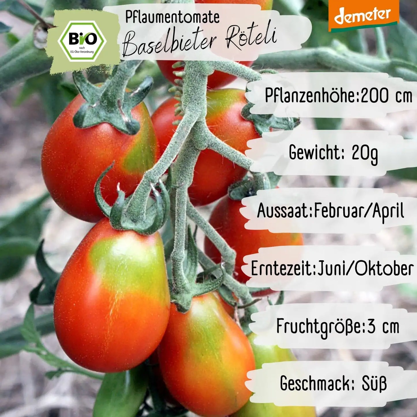 Demeter Baselbieter Röteli Tomaten Samen