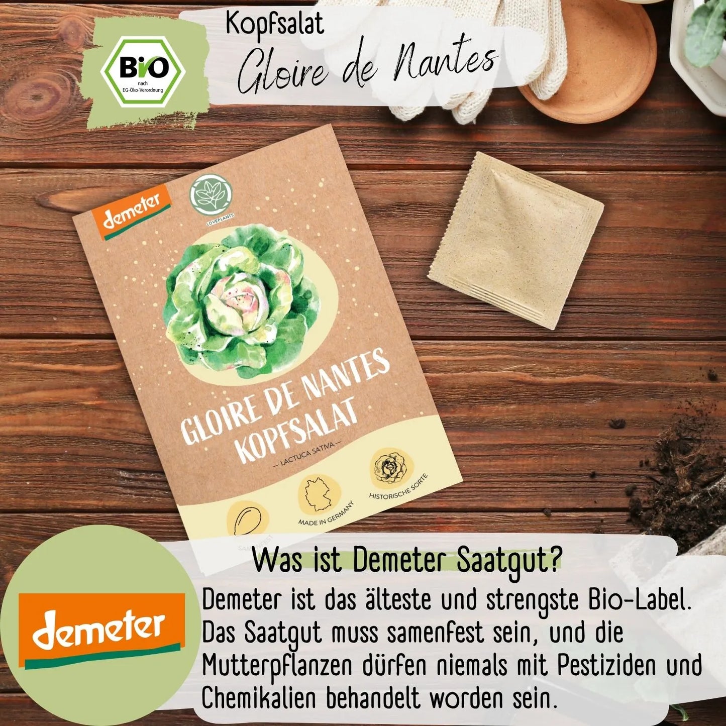 Demeter Gloire de Nantes Kopfsalat Samen