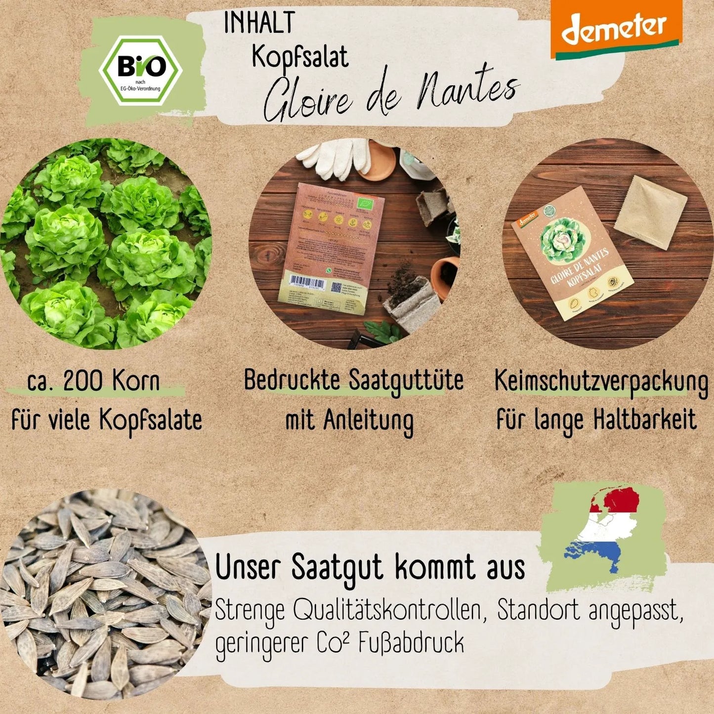 Demeter Gloire de Nantes Kopfsalat Samen