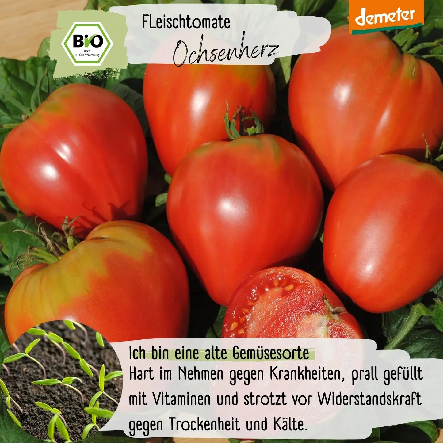 Demeter Ochsenherz Tomaten Samen