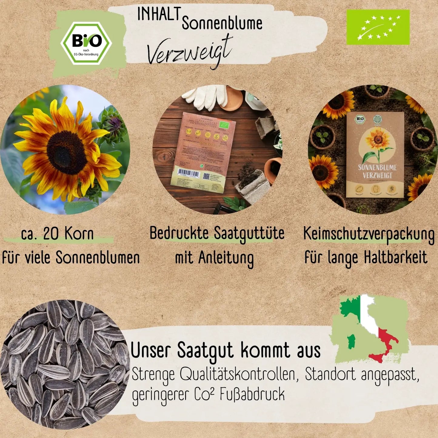 Bio Sonnenblume Verzweigt Samen