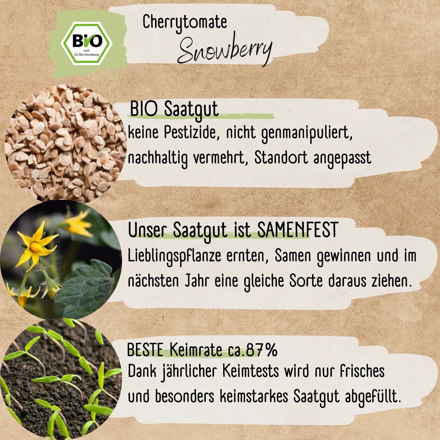 Snowberry Tomaten Samen kaufen ➤ Bio-zertifiziert