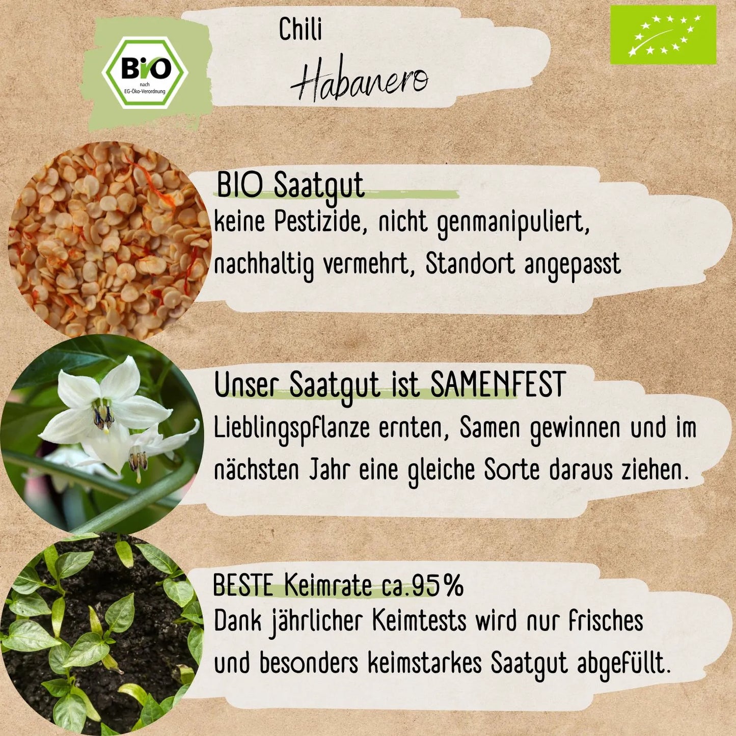 Bio Habanero Samen