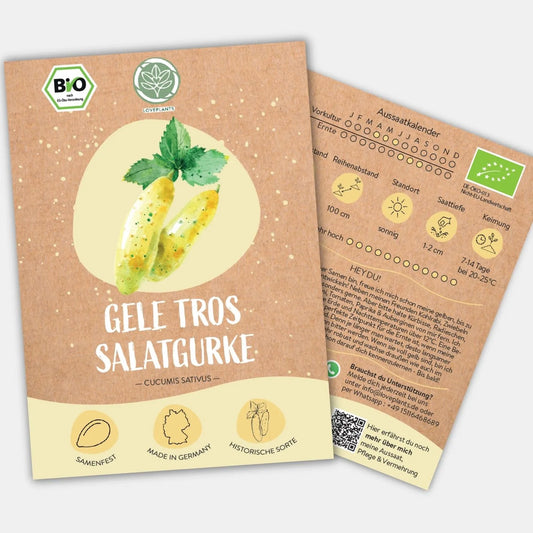 Bio Salatgurke Gele Tros Samen