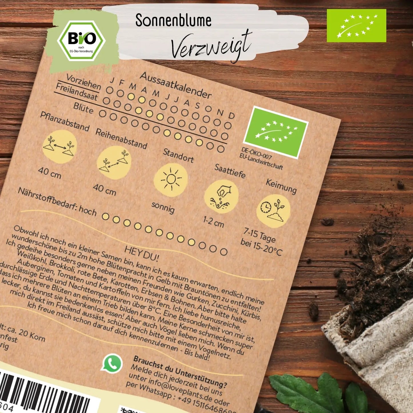 Bio Sonnenblume Verzweigt Samen