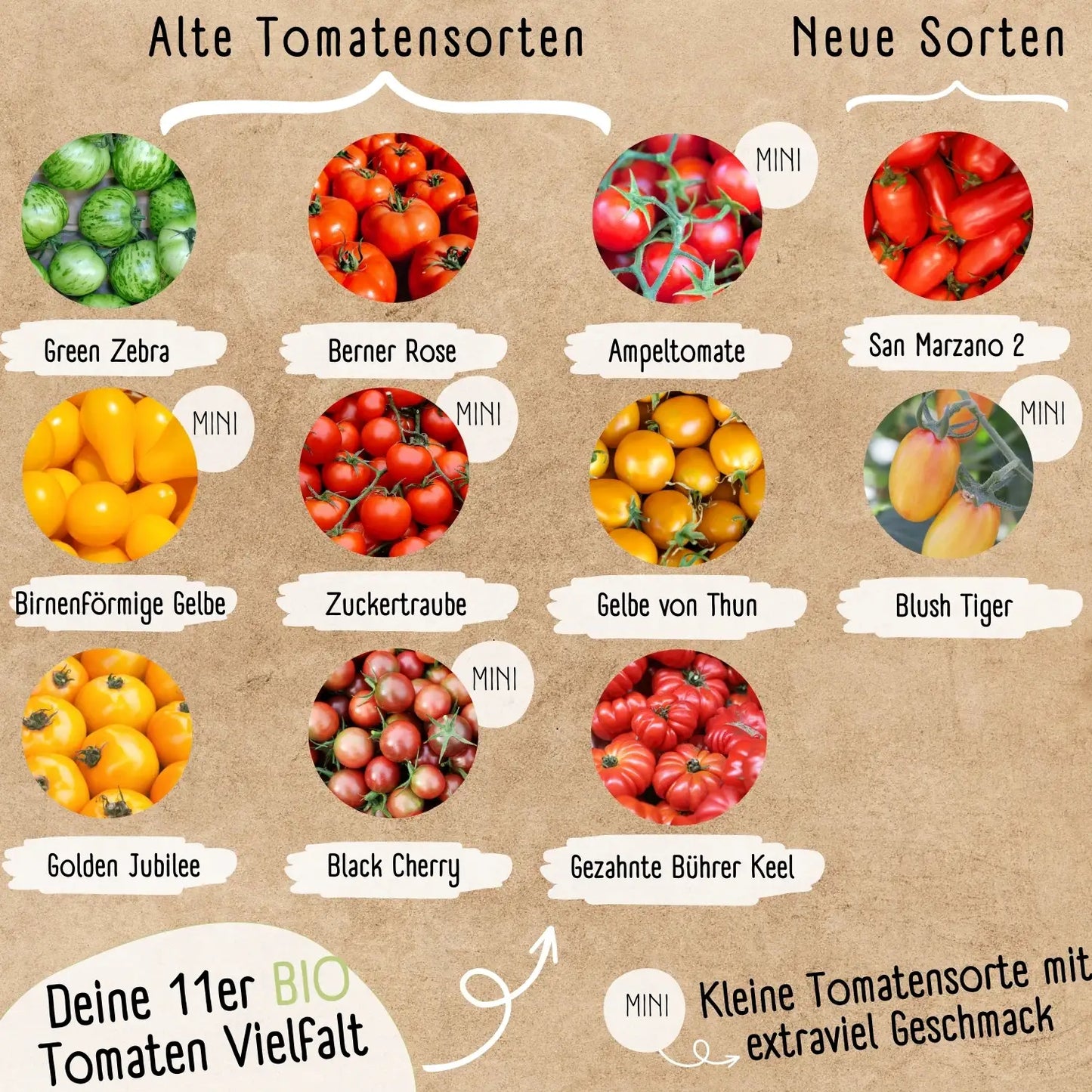 Dein 11 Bio Tomatensamen Set