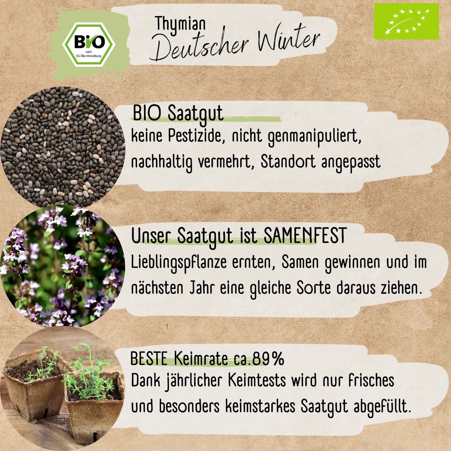 Bio Thymian Samen