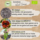 Bio Sonnenblume Velvet Queen Samen