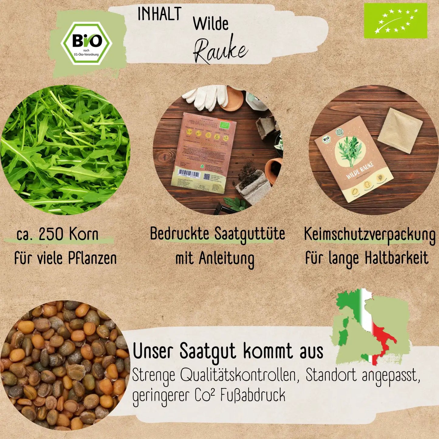 Bio Wilde Rauke Samen