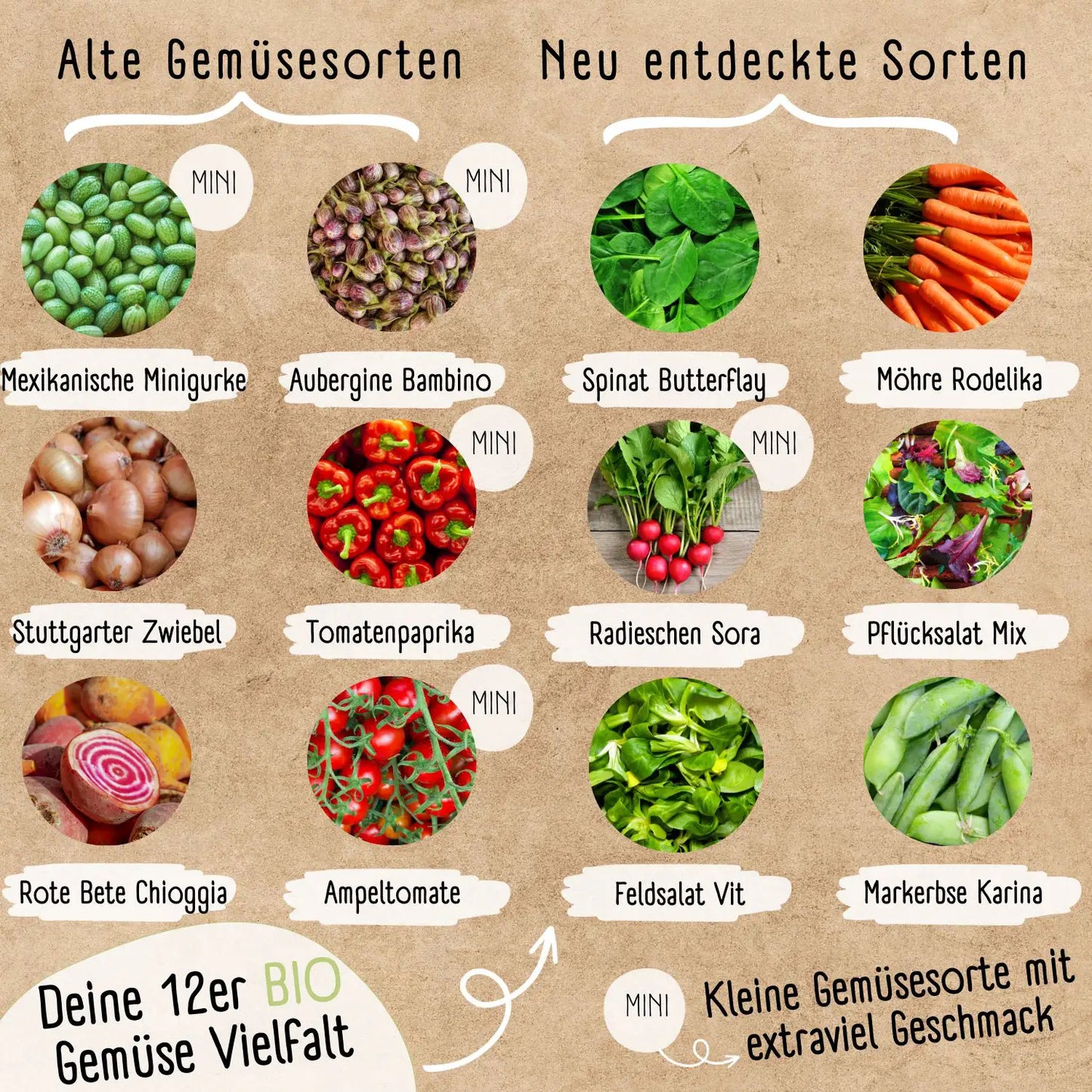 Balkongarten Starter Set