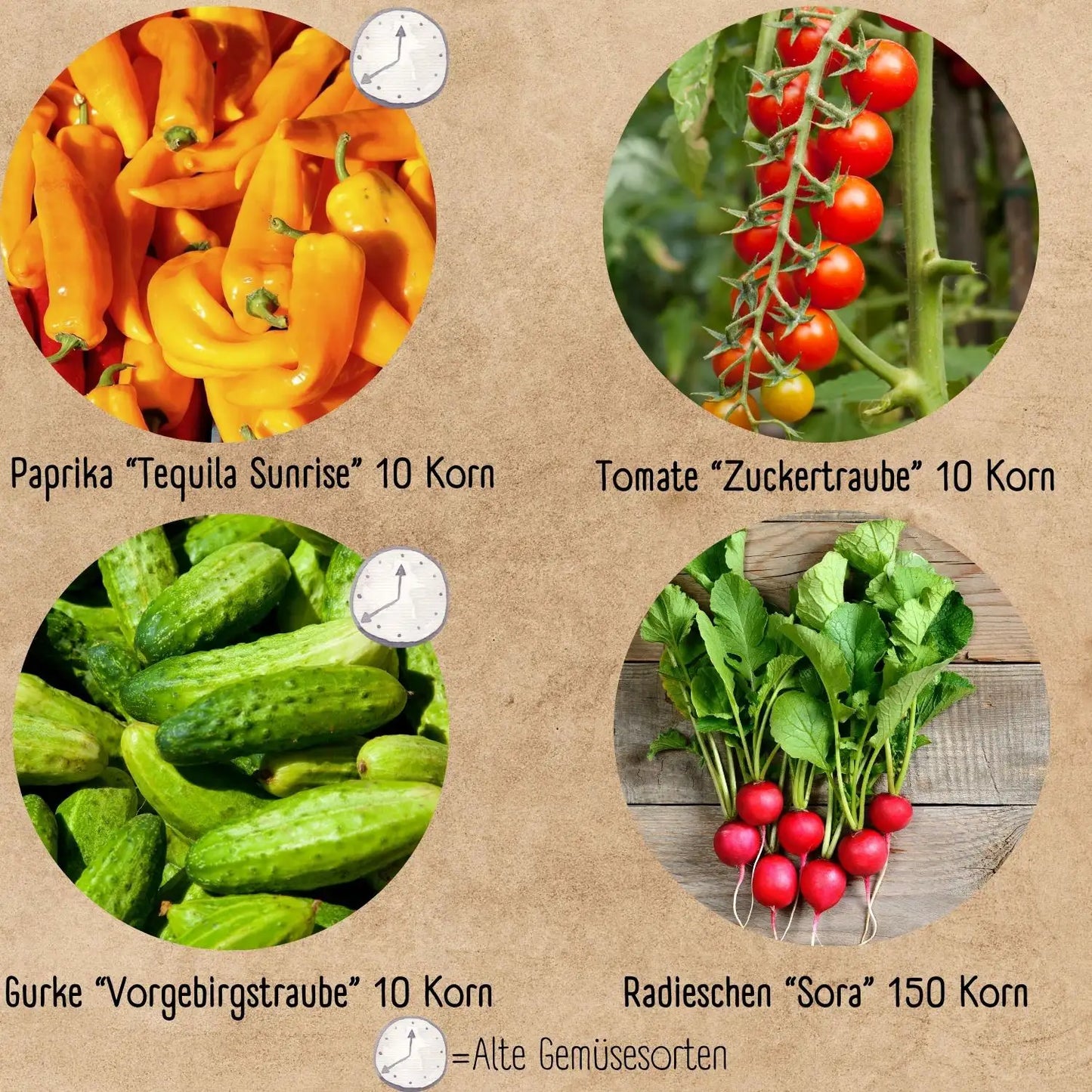 Bio Gemüse Anzuchtset mit 4 Sorten