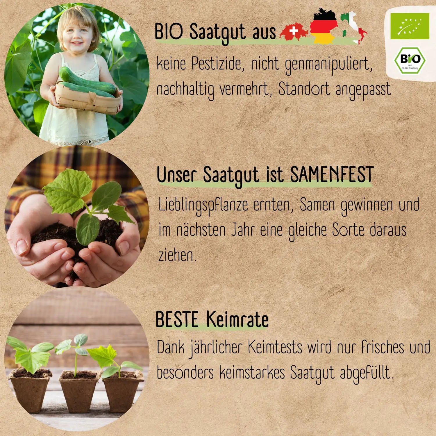 Bio Gurkensamen Set mit verschiedenen Gurken Saatgut