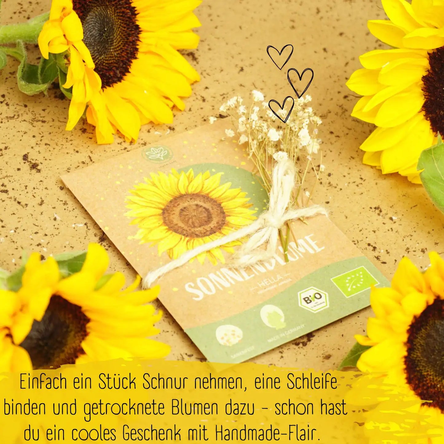 Bio Sonnenblume Hella Samen auch als Geschenk geeignet
