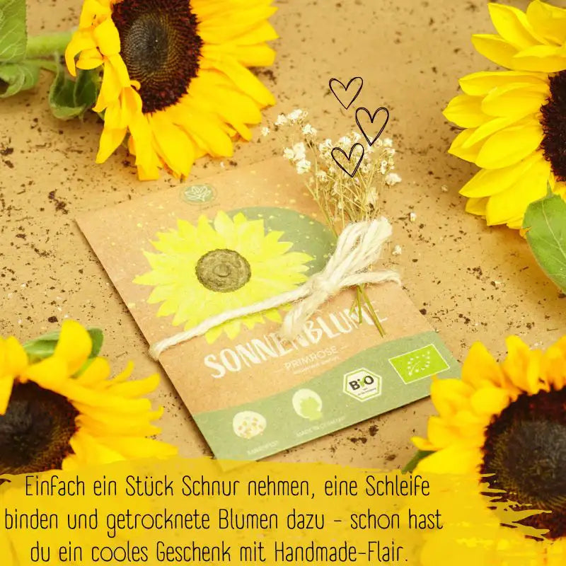 Bio Sonnenblume Primrose Samen auch als Geschenk geeignet