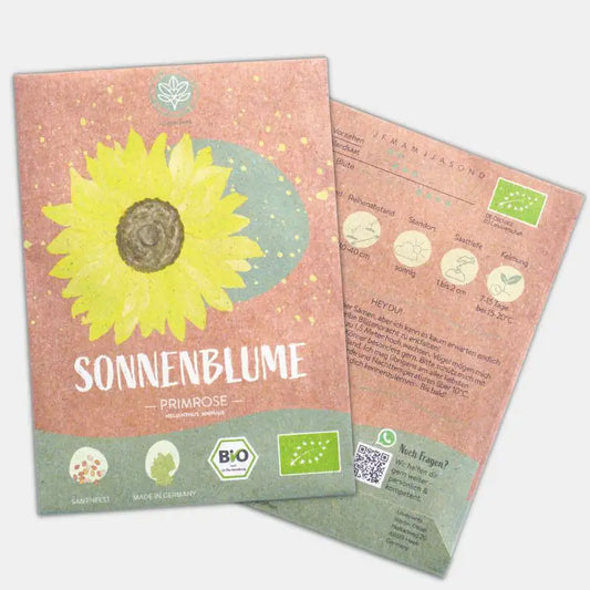 Bio Sonnenblume Primrose Samen kaufen