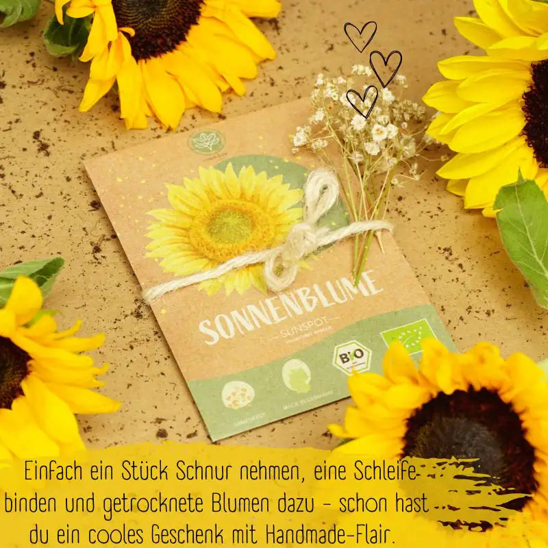 Bio Sonnenblume Sunspot auch als Geschenk