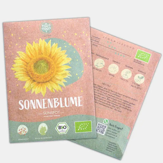 Bio Sonnenblume Sunspot kaufen