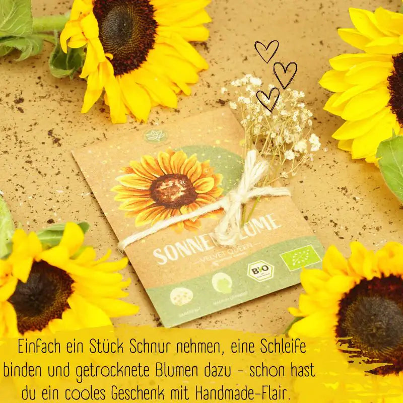 Bio Sonnenblume Velvet Queen Samen auch als Geschenk