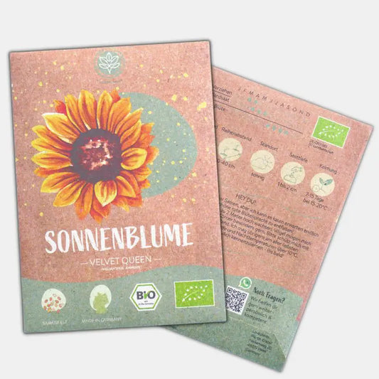 Bio Sonnenblume Velvet Queen Samen kaufen