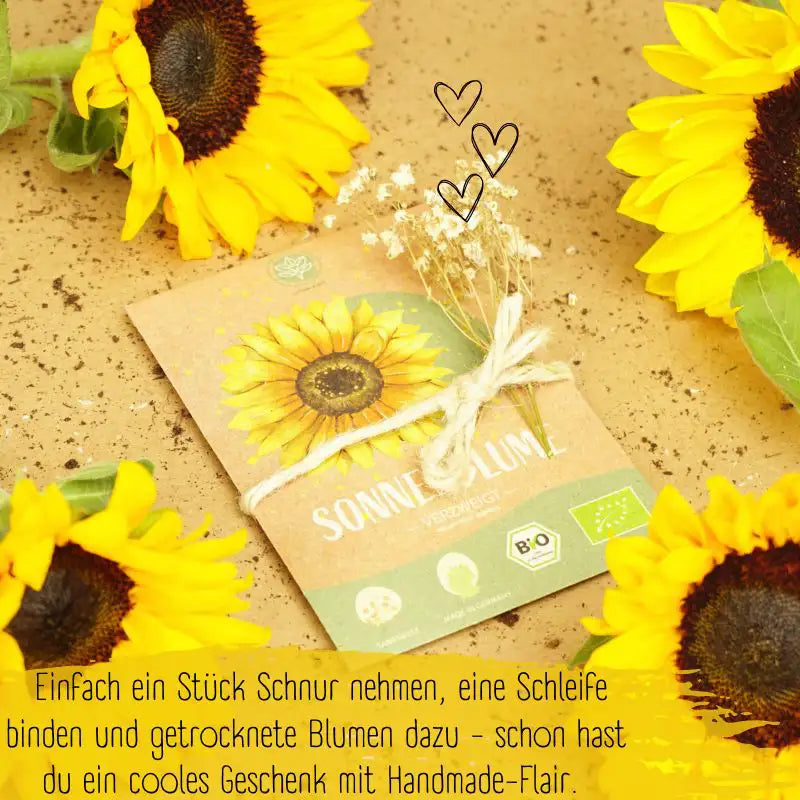 Bio Sonnenblume Verzweigt Samen kaufen auch als Geschenk