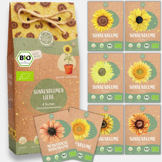 Bio Sonnenblumensamen Set kaufen