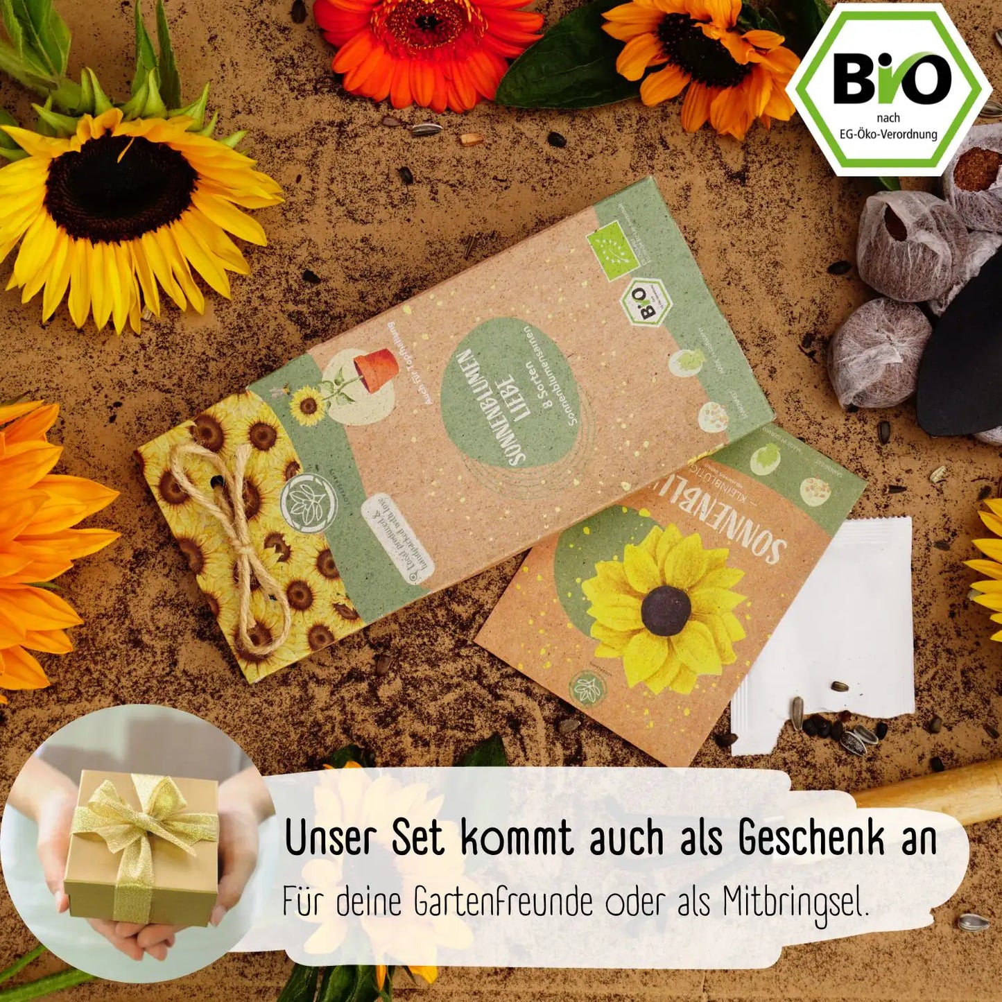 Bio Sonnenblumensamen Set kaufen als Geschenk