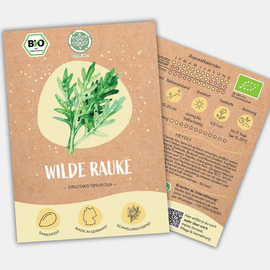 Bio Wilde Rauke Samen