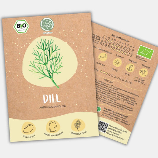 Bio Dill Samen