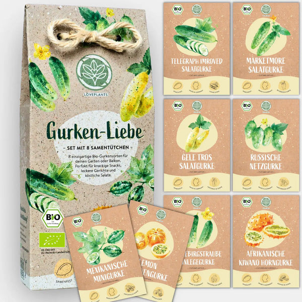 Dein 8 Gurkensamen Set kaufen ➤ Ideal als Geschenk geeignet