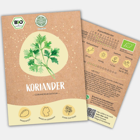 Bio Koriander Samen