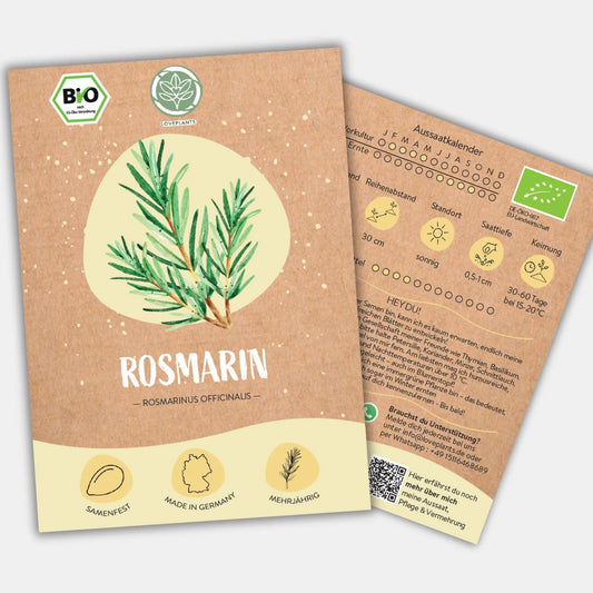 Bio Rosmarin Samen