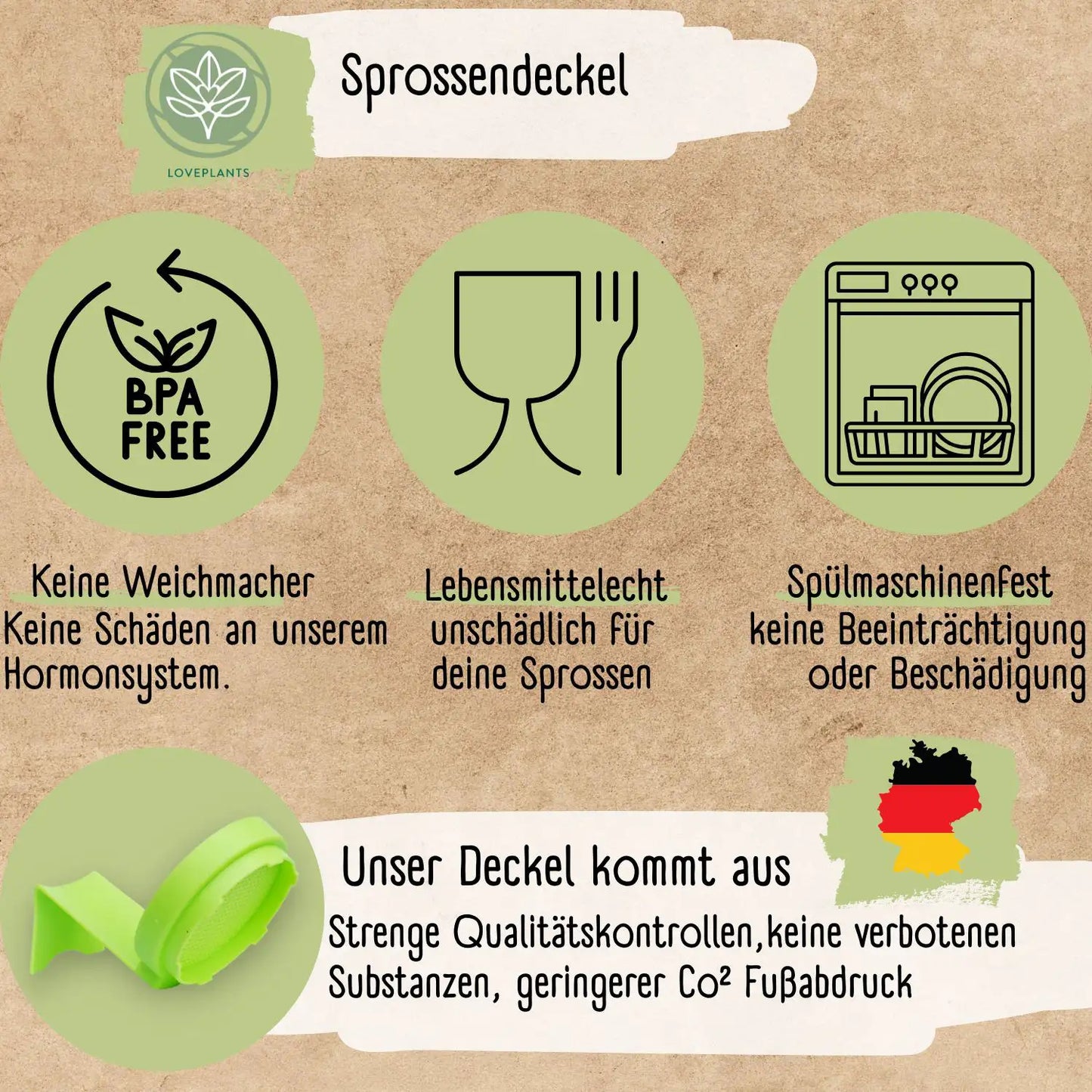 Dein 5 Bio Sprossen Anzuchtset