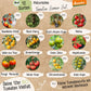 Dein 12 Demeter Historisches Tomaten Samen Set