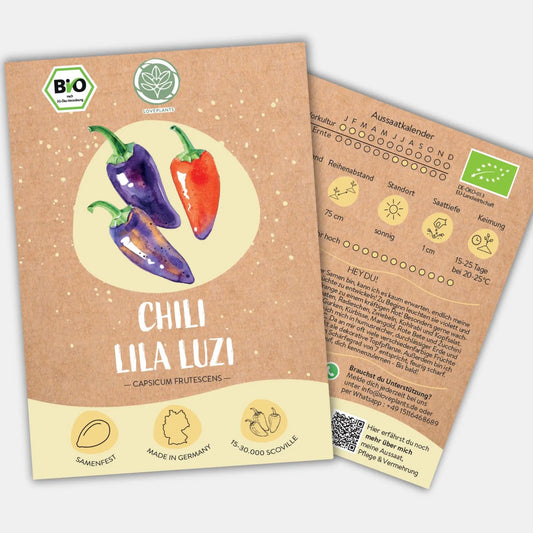 Bio Lila Luzi Samen