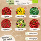 Dein 6 Bio Chili Samen Set