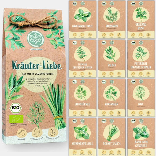Dein 12 Bio Kräutersamen Set
