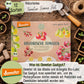 Dein 12 Demeter Historisches Tomaten Samen Set