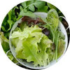 Category Icon
