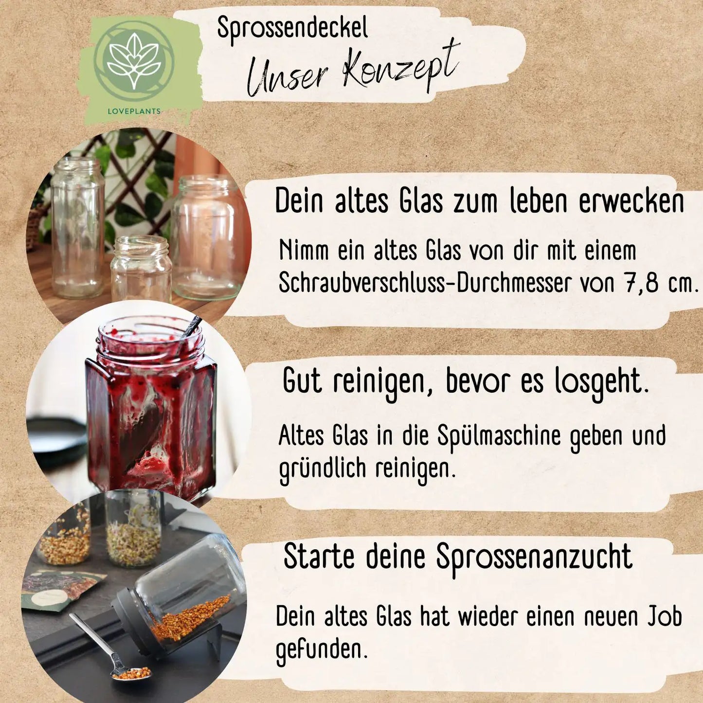 Dein 5 Bio Sprossen Anzuchtset