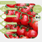 Bio-Cherrytomate-Zuckertraube-Samen-eigenschaften