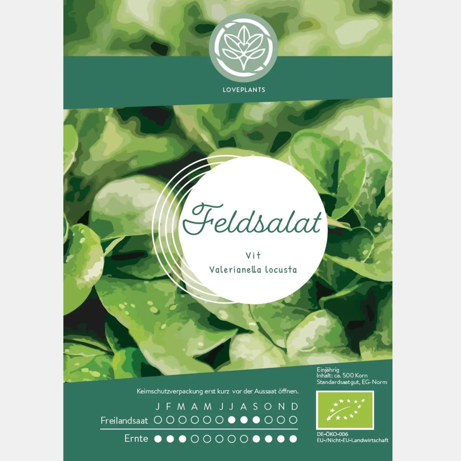 Bio-Feldsalat-Samen-kaufen