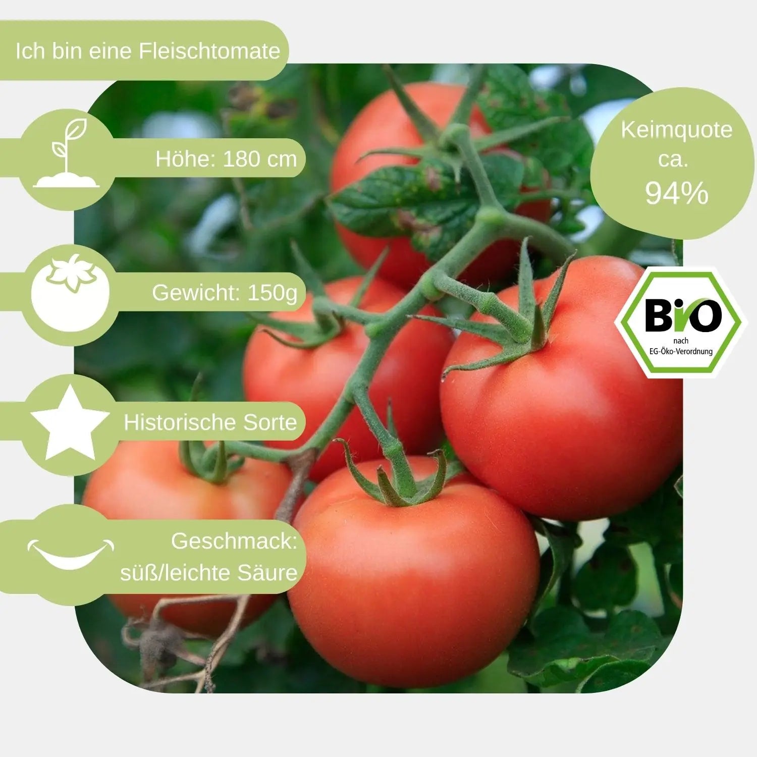 Bio-Fleischtomate-Berner-Rose-Samen-eigenschaften