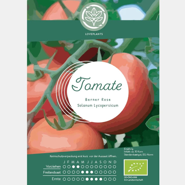 Bio Tomate Berner Rose Samen kaufen ➤ Bio-zertifiziert