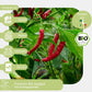 Bio-Pepperoni-de-Cayenne-Samen-geeignet für