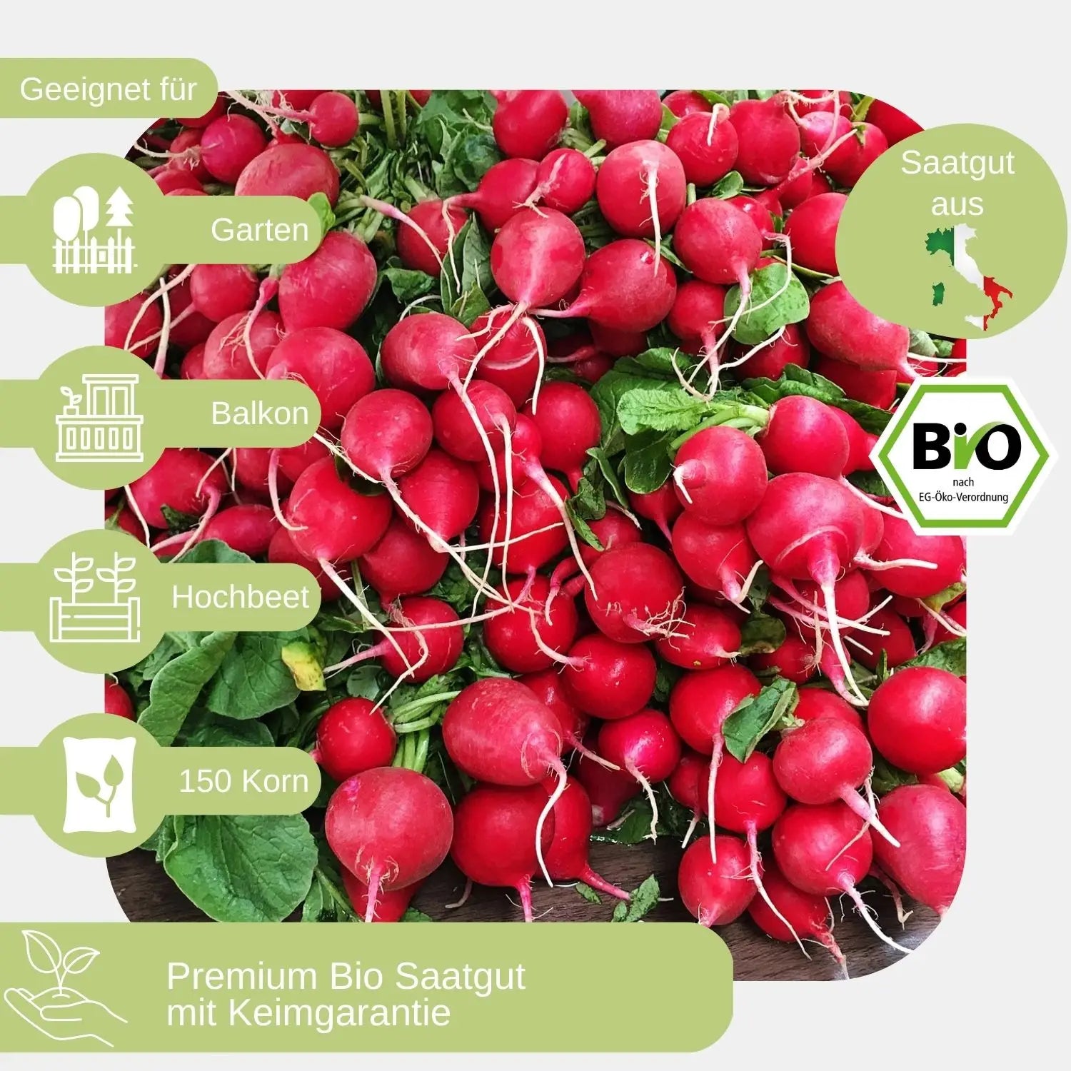 Bio-Radieschen-Samen- geeignet_für
