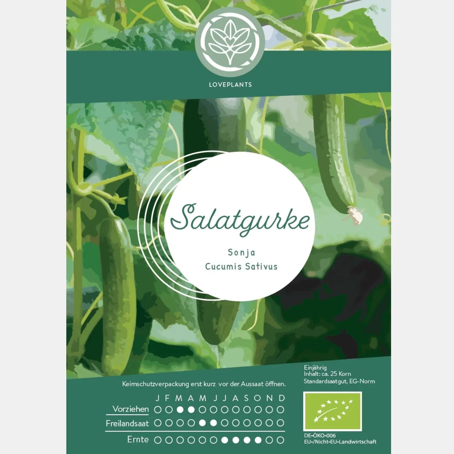 Bio-Salatgurke-Sonja-Samen-kaufen